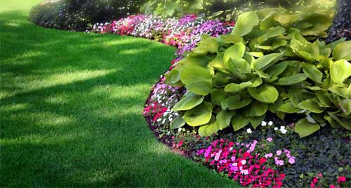 Commercial Landscaping Design by Life Green Systems